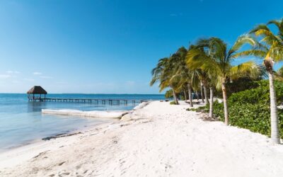 ¿Qué es Visitax: el derecho al visitante de cancún?